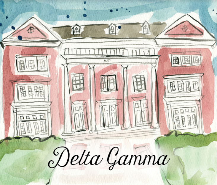 Delta Gamma House Blanket